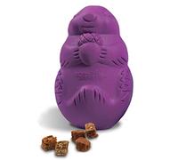 PetSafe Busy Buddy Squirrel Dude, Interactive Treat Dispensing Dog Toy - Chew Toy, Small Dogs