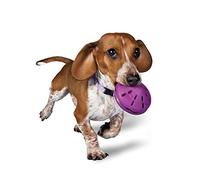 PetSafe Busy Buddy Twist 'n Treat Dispensing Dog Toy - Small