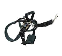 PetSafe CareLift Rear Support Harness - Lifting Aid with Handle - Great for Pet Mobility and Older Dogs - Comfortable, Breathable Material - Easy to Adjust - Medium, Carelift