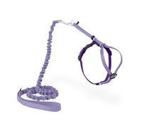 PetSafe Come With Me Kitty Harness and Bungee Cat Leash, Medium, Lilac | Adjustable 2-Point Fit Applies Gentle Pressure to Shoulders, Not Neck, for Small & Average Cats with 10.5 in - 14 in Girth