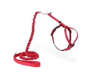 PetSafe Come with Me Kitty Harness and Bungee Leash, Harness for Cats, Medium, Red/Cranberry, Model:CWMK-M-RED