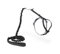 PetSafe Come with Me Kitty Harness and Bungee Leash, Small, Black