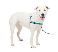 PetSafe Deluxe Easy Walk Dog Harness - Martingale Loop with D-ring Stops Pulling - Training & Behavior Aid - Reflectivity Enhances Visibility in Low Light - Comfortable Padding - Ocean/Black - M/L