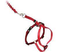 PetSafe Easy Walk Cat Harness with Bungee Lead, Comfortable Control with Adjustable Fit, Includes Stretchy Bungee Section, Small-Red