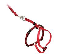 PetSafe Easy Walk Cat Harness with Bungee Lead, Comfortable Control with Adjustable Fit, Includes Stretchy Bungee Section, Large-Red