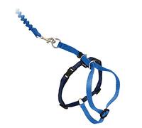PetSafe Easy Walk Cat Harness with Bungee Lead, Comfortable Control with Adjustable Fit, Includes Stretchy Bungee Section, Medium-Royal Blue