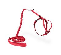 PetSafe Easy Walk Cat Harness with Bungee Lead, Comfortable Control with Adjustable Fit, Includes Stretchy Bungee Section, Small-Red