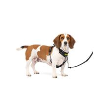 PetSafe Easy Walk Comfort No-Pull Dog Harness Full-Body Padding - Better Walks on The First Use - 5 Points of Adjustment Small/Medium, Black