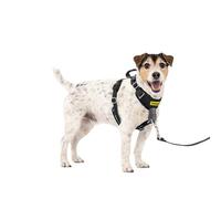 PetSafe Easy Walk Comfort No-Pull Dog Harness Full-Body Padding - Better Walks on The First Use - 5 Points of Adjustment Small/Medium, Black