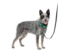 PetSafe Easy Walk Comfort No-Pull Dog Harness Full-Body Padding - Better Walks on The First Use - 5 Points of Adjustment Medium/Large, Green