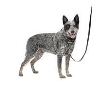 PetSafe Easy Walk Comfort No-Pull Dog Harness Full-Body Padding - Better Walks on The First Use - 5 Points of Adjustment Medium/Large, Black