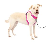 PetSafe Easy Walk Comfort No-Pull Dog Harness Full-Body Padding - Better Walks on The First Use - 5 Points of Adjustment Large, Pink