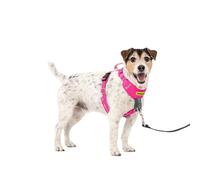 PetSafe Easy Walk Comfort No Pull Training Harness, Full Body Padding, Heavy Duty, 5 Point Adjustment, Reflective Trim, Quick Release Buckles, Handle, Everyday Use, Pink, S/M