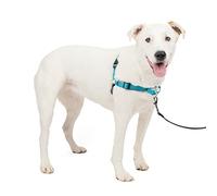 Dog harness PetSafe EasyWalk Deluxe