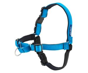 PetSafe Easy Walk Deluxe Harness, No-Pull Walking Harness for Dogs, Padded Design, Includes 1.8m Lead, Medium-Ocean Blue/Black Lead
