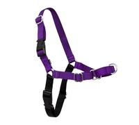 PetSafe Easy Walk dog harness.