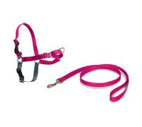 PetSafe Easy Walk Harness for Small/Medium/Large Dogs, Large, Pink