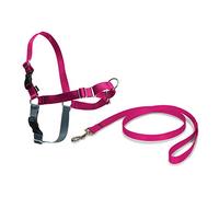 PetSafe Easy Walk Harness, No-Pull Walking Harness for Dogs, Adjustable Fit, Includes 1.8m Lead, Large-Raspberry