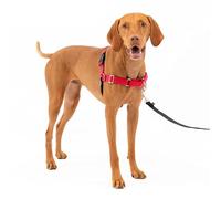 PetSafe Easy Walk Harness & 1.8 Metre Lead for Medium Dogs Non-Pull Collar - Red