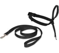PetSafe Easy Walk Headcollar, No-pull Dog Walking Lead, Adjustable Fit, Comfort