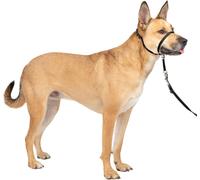 PetSafe Easy Walk Headcollar, No-pull Dog Walking Lead, Adjustable Fit, Comfort
