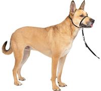 PetSafe Easy Walk Headcollar, No-pull Dog Walking Lead, Adjustable Fit, Comfort