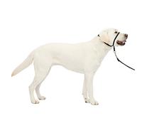 PetSafe Easy Walk Headcollar, No-pull Dog Walking Lead, Adjustable Fit, Comfortable, Large-Black