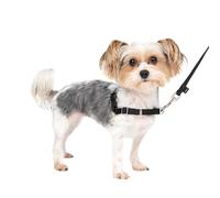 PetSafe Easy Walk No-Pull Dog Harness - The Ultimate Harness to Help Stop Pulling - Take Control & Teach Better Leash Manners - Helps Prevent Pets Pul