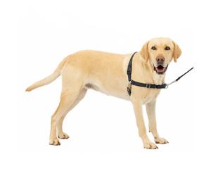 PetSafe Easy Walk No-Pull Dog Harness - The Ultimate Harness to Help Stop Pulling - Take Control & Teach Better Leash Manners - Helps Prevent Pets Pul