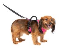 PetSafe EasySport Dog Harness - Adjustable Padded Dog Harness with Control Handle and Reflective Piping - Extra Small Pink