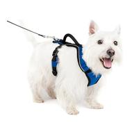 PetSafe EasySport Harness - Adjustable padded straps with control handle and reflective piping - From the makers of the Easy Walk Harness - Small - Blue