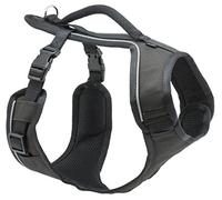 PetSafe EasySport Harness - Durable Padded Fabric, Adjustable Elastic Neckline, Rear-Leash Attachment & Nighttime Reflective Visibility - No Choke or Gag Secure Fit - Small - Black