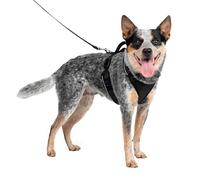 PetSafe EasySport Harness - Durable Padded Fabric, Adjustable Elastic Neckline, Rear-Leash Attachment & Nighttime Reflective Visibility - No Choke or Gag Secure Fit - Medium - Black