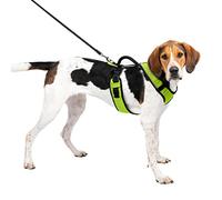 PetSafe Easysport Harness, Large, Apple