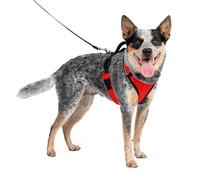PetSafe EasySport Harness, Walking Harness for Dogs, Adjustable, Padded, Medium-Red