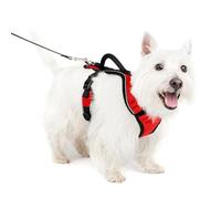 PetSafe EasySport Harness, Walking Harness for Dogs, Adjustable, Padded, Small-Red