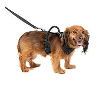 PetSafe Easysport Harness, X-Small, Black