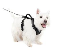 PetSafe EasySport Hundegeschirr - Strapazierfähiges, gepolstertes Material, Verstellbarer Halsausschnitt, Befestigung für Leine hinten & Reflektierend - S - Schwarz