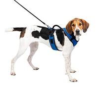 PetSafe EasySport Hundegeschirr - Strapazierfähiges, gepolstertes Material, Verstellbarer Halsausschnitt, Befestigung für Leine hinten & Reflektierend - L - Blau