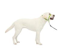 PetSafe Gentle Leader No-Pull Dog Headcollar - The Ultimate Solution to Pulling - Redirects Your Dog's Pulling for Easier Walks - Helps You Regain Control - Large, Apple Green