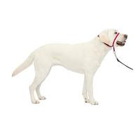 PetSafe Gentle Leader No-Pull Dog Headcollar - Large, Raspberry Pink - Prevents Choking, Allows Full Range of Motion - Suitable for Large, All Breeds Dogs