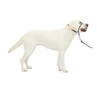 PetSafe Gentle Leader No-Pull Dog Headcollar - The Ultimate Solution to Pulling - Redirects Your Dog's Pulling for Easier Walks - Helps You Regain Control - Large, Charcoal