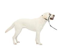 PetSafe Gentle Leader No-Pull Dog Headcollar - The Ultimate Solution to Pulling - Redirects Your Dog's Pulling For Easier Walks - Helps You Regain Control - Large, Black