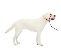 PetSafe Gentle Leader No-Pull Dog Headcollar - The Ultimate Solution to Pulling - Redirects Your Dog's Pulling for Easier Walks - Helps You Regain Control - Large, Red