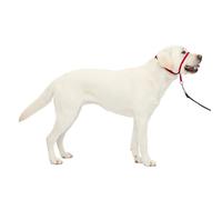 PetSafe Gentle Leader No-Pull Dog Headcollar - The Ultimate Solution to Pulling - Redirects Your Dog's Pulling for Easier Walks - Helps You Regain Control - Large, Red