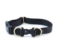 PetSafe KeepSafe Break-Away Collar, Prevent Collar Accidents for Your Dog or Puppy, Improve Safety, Compatible with Leash Use, Adjustable Sizes