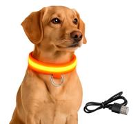 PetSafe Light Up Dog Collar - LED Dog Collar Light Rechargeable - Illuminated LED Collars for Dogs - Glow in the Dark, Luminous Design - Flashing Light Up Collar for Safety - USB Chargeable