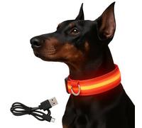 PetSafe Light Up Dog Collar - LED Dog Collar Light Rechargeable - Illuminated LED Collars for Dogs - Glow in the Dark, Luminous Design - Flashing Light Up Collar for Safety - USB Chargeable