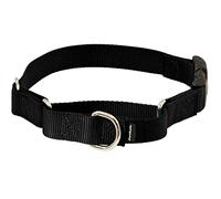 PetSafe Martingale Dog Collar with Quick-Snap Buckle - Petite, 3/8 Inch, Black