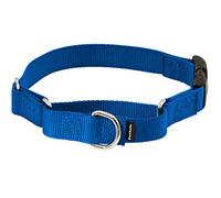 PetSafe Martingale Dog Collar with Quick-Snap Buckle - Small, 3/4 Inch, Royal Blue